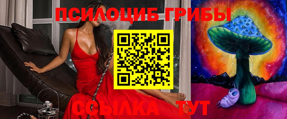 Псилоцибиновые грибы мухоморы Мценск