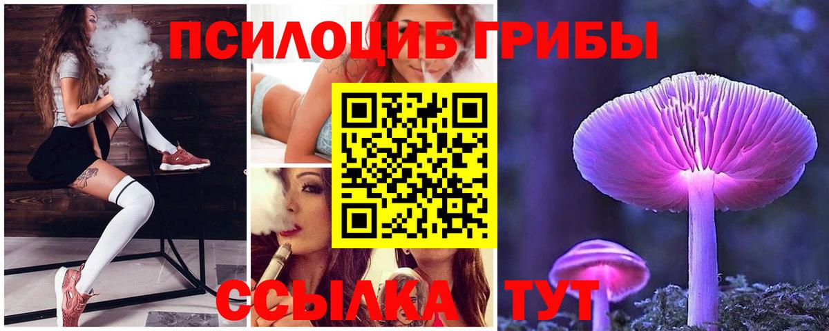 Галлюциногенные грибы Magic Shrooms  дарнет шоп  Мценск  Вход с VPN  Галлюциногенные грибы Cubensis 